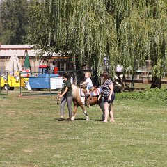 2015-08-01 Old McDebbie's Farm Birthday Party 123 - KrisDi and Chilkoot